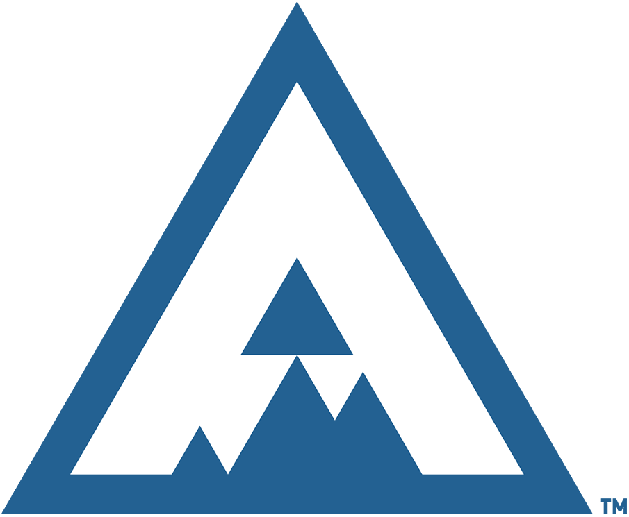 Colorado Avalanche 2020 Special Event Logo v2 iron on heat transfer